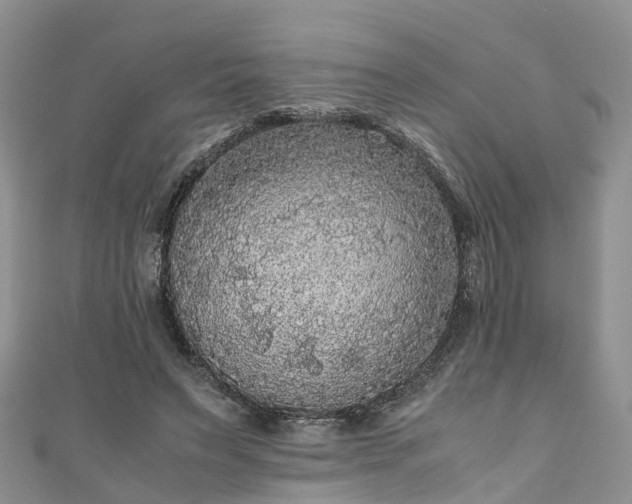 X0000110950495200906261323