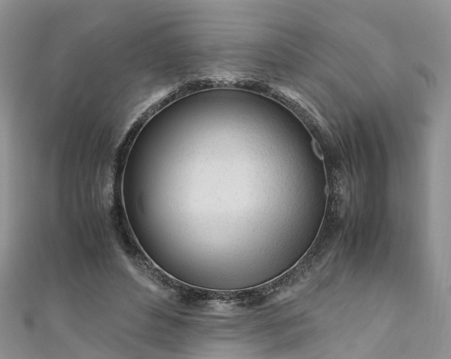 X0000110950496200906261323