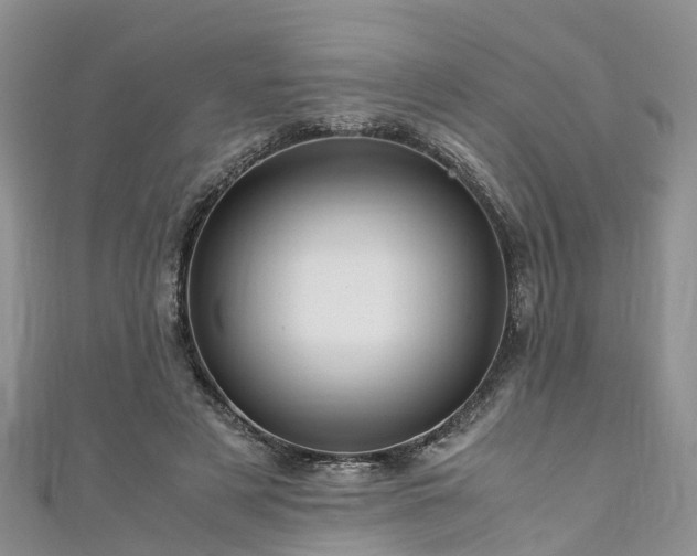 X0000110950497200906261323