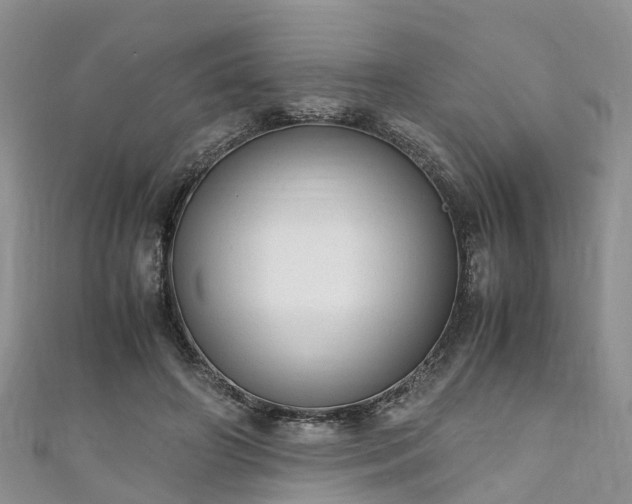 X0000110950498200906261323