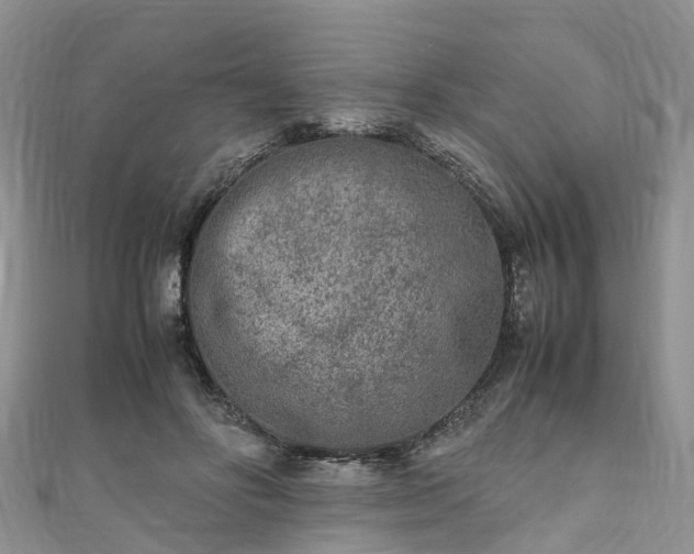 X0000110950502200906261323