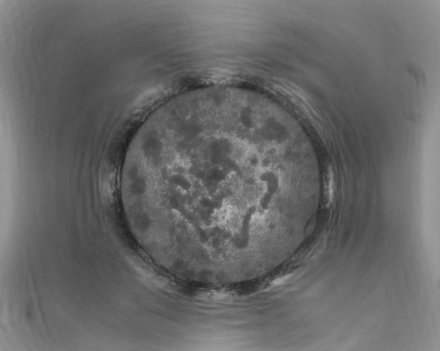 X0000110950503200906261323