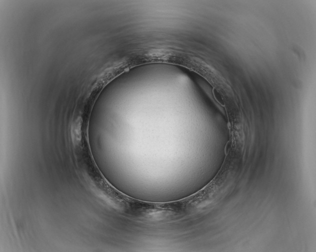 X0000110950504200906261323