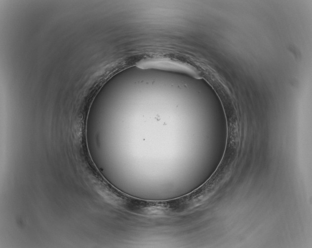 X0000110950505200906261323