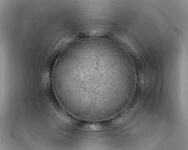 X0000110950506200906261323