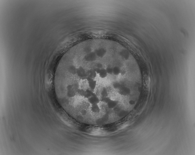 X0000110950507200906261323