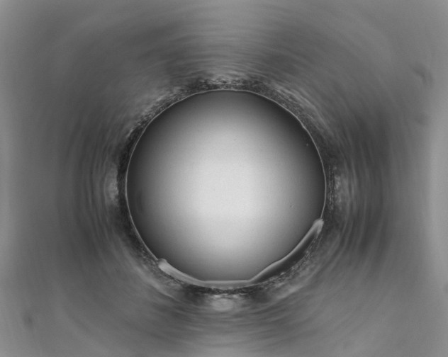 X0000110950508200906261323