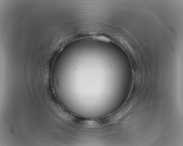 X0000110950509200906261323