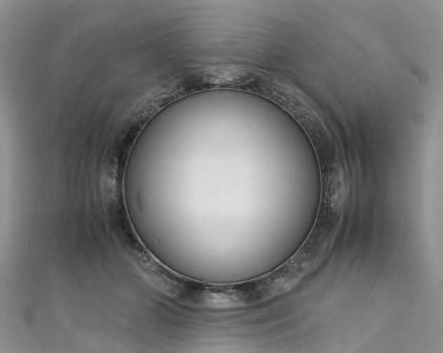 X0000110950510200906261323