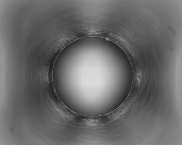 X0000110950512200906261323