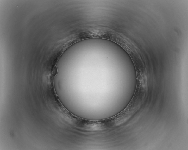 X0000110950514200906261323