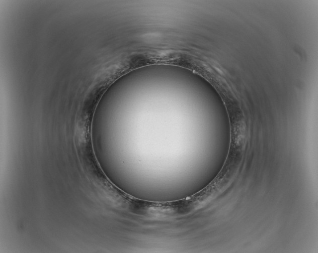 X0000110950515200906261323