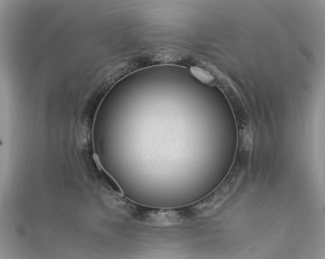 X0000110950517200906261323