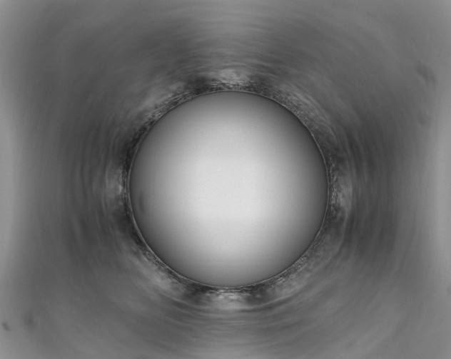 X0000110950518200906261323