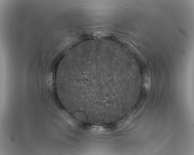 X0000110950519200906261323