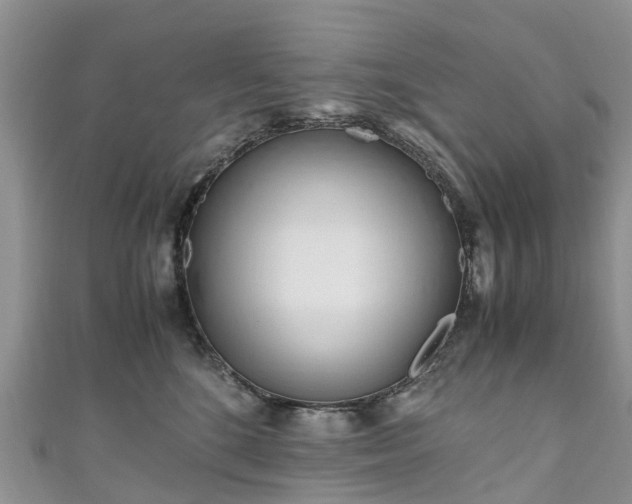 X0000110950520200906261323