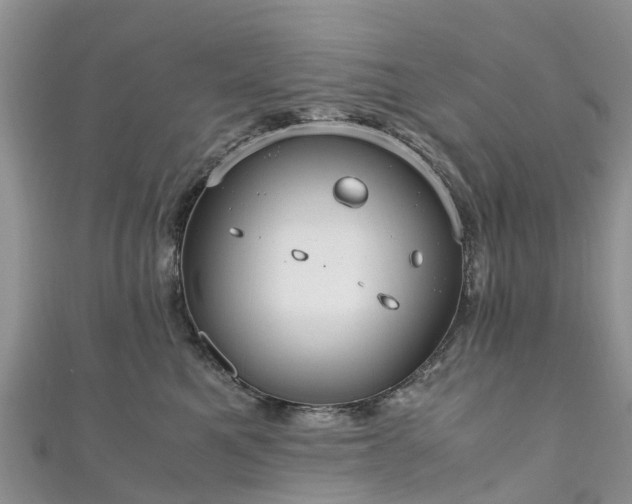 X0000110950521200906261323