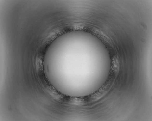 X0000110950522200906261323