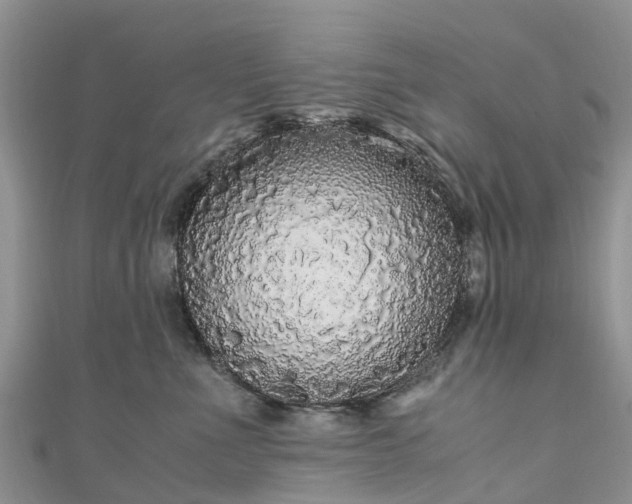 X0000110950523200906261323