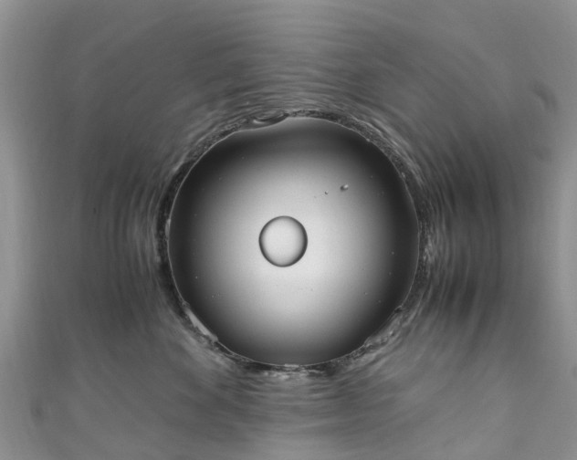 X0000110950524200906261323