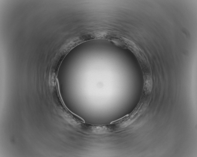 X0000110950525200906261323