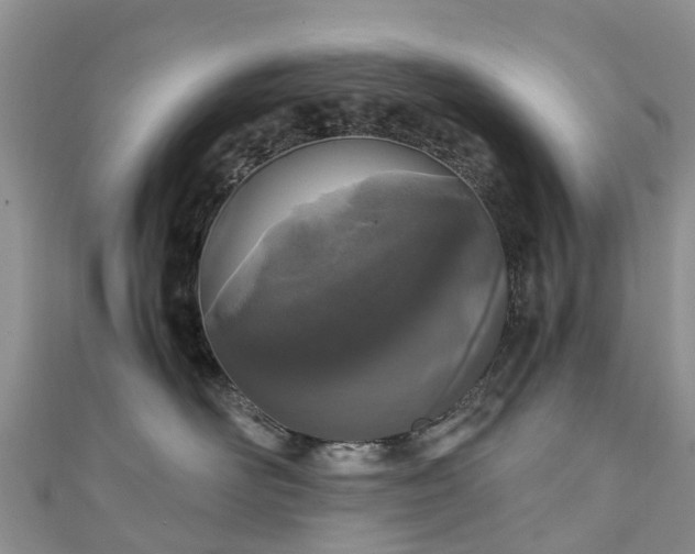 X0000110950526200906261323