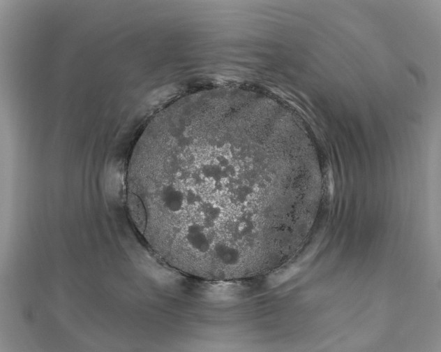 X0000110950527200906261323