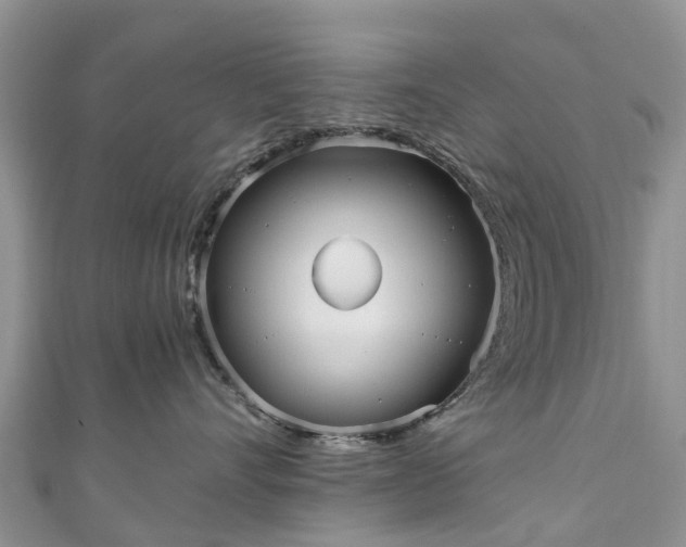 X0000110950528200906261323