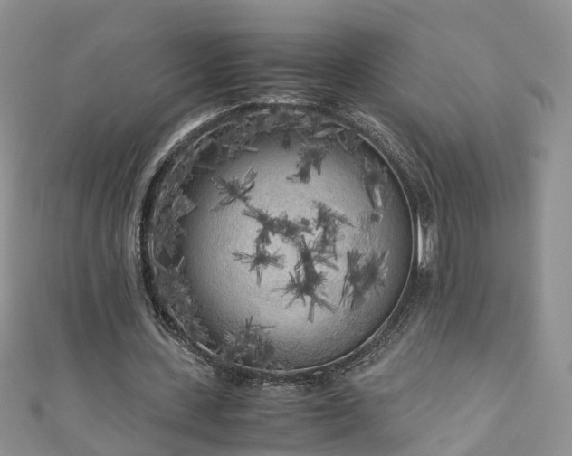 X0000110950531200906261322