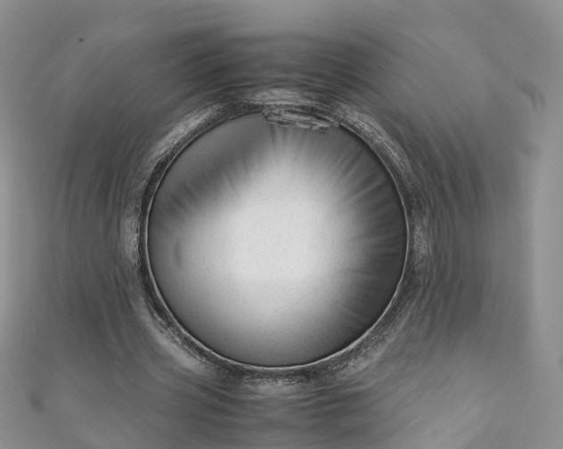 X0000110950533200906261322