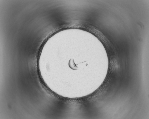 X0000110950534200906261323