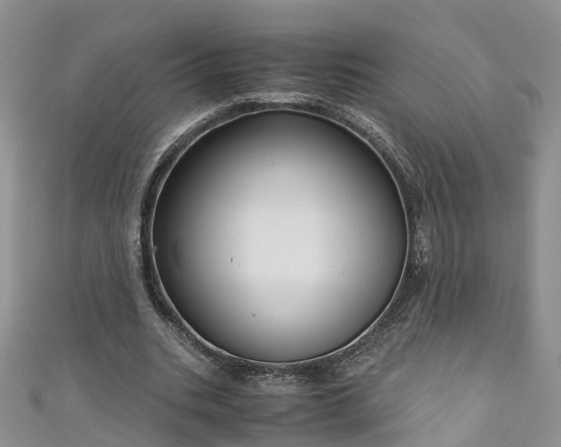 X0000110950535200906261323