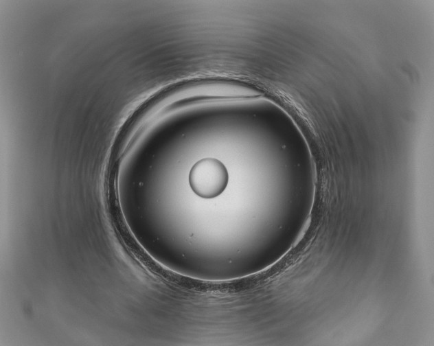 X0000110950536200906261323