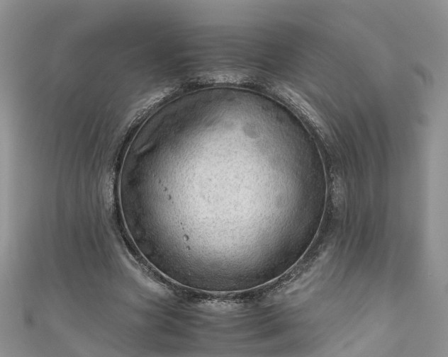 X0000110950537200906261323