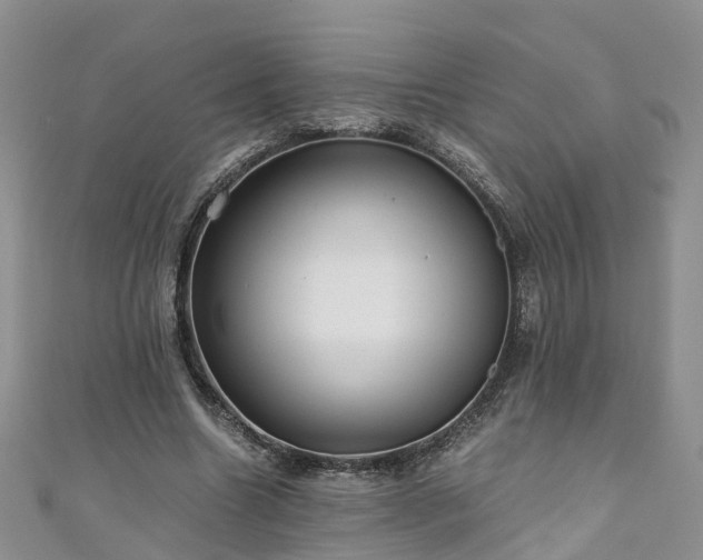 X0000110950538200906261323