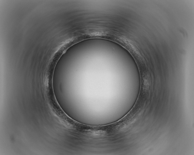 X0000110950539200906261323