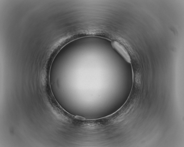 X0000110950540200906261323