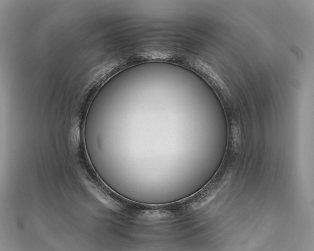 X0000110950541200906261323