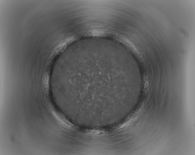 X0000110950542200906261323