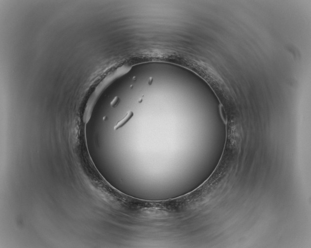 X0000110950544200906261323