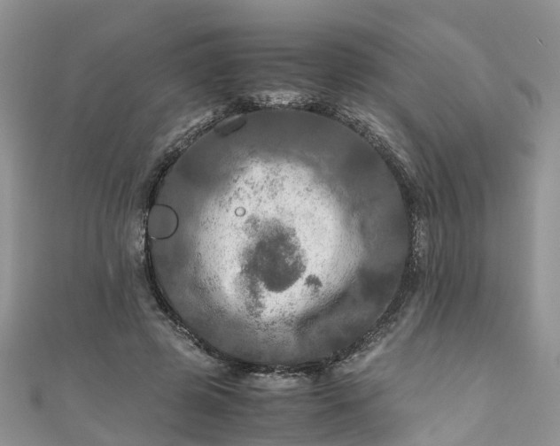 X0000110950545200906261323