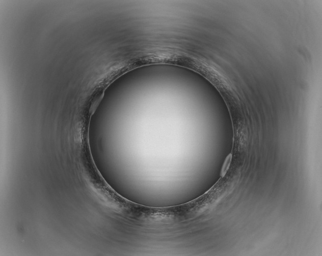 X0000110950546200906261323