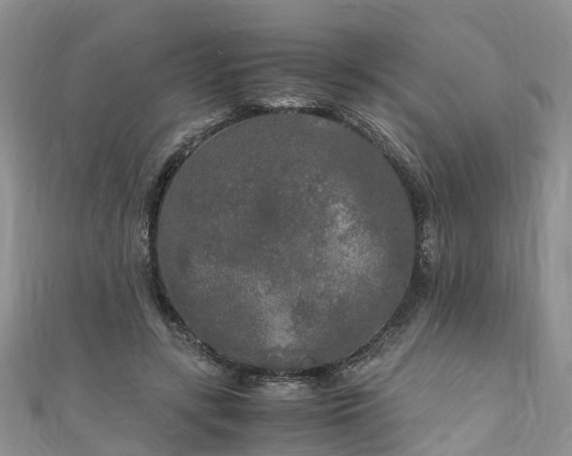 X0000110950547200906261323