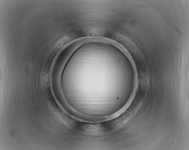 X0000110950548200906261323