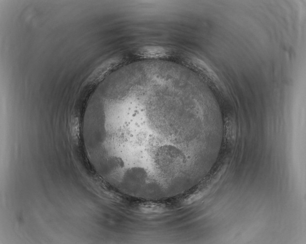 X0000110950549200906261323