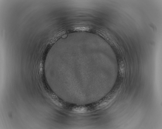 X0000110950551200906261323