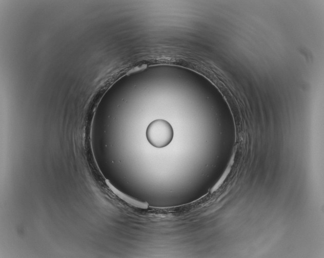 X0000110950552200906261323