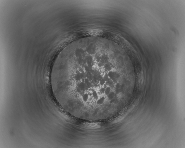 X0000110950553200906261323