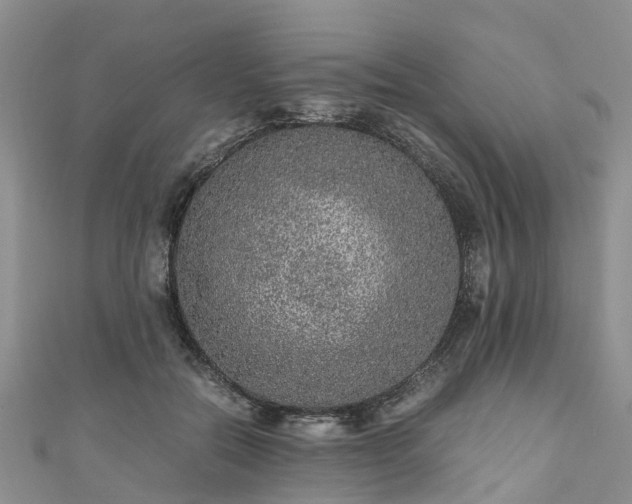 X0000110950554200906261323