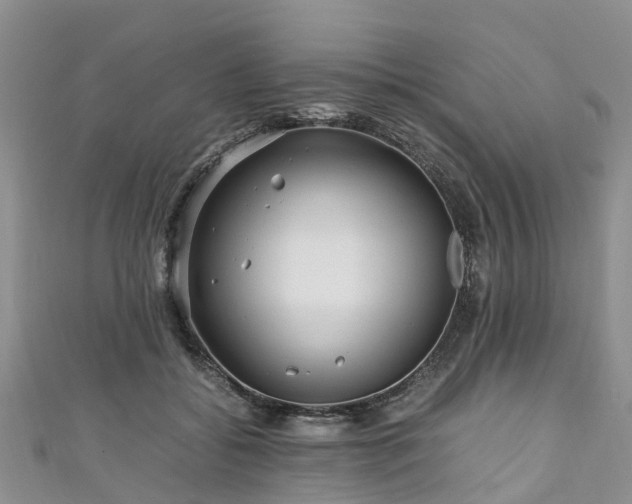 X0000110950556200906261323